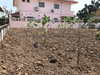 listing thumbnail image 6