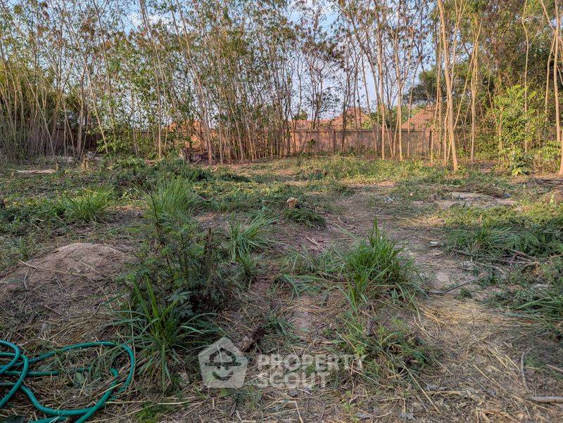 รูป ขายที่ดิน ทำเลดี ใกล้ทะเลสาบ เมพพัชร ชลบุรี (ปริมาณที่ดินใกล้ทะเลสาบ) (ID 3045033) - รูปที่ 4/5