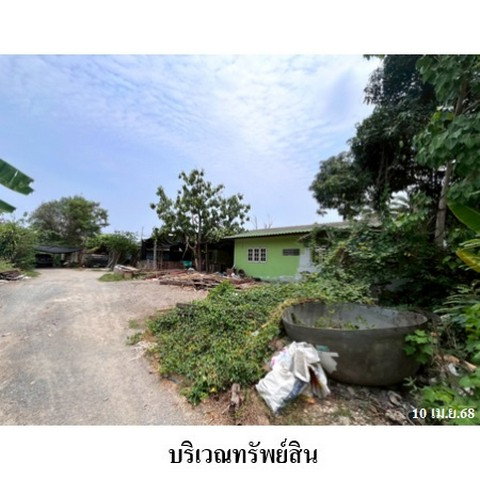 รูป Z4T0560 ขายบ้านเดี่ยว ตำบล หลักสาม อำเภอ บ้านแพ้ว จังหวัด สมุทรสาคร - รูปที่ 8/8