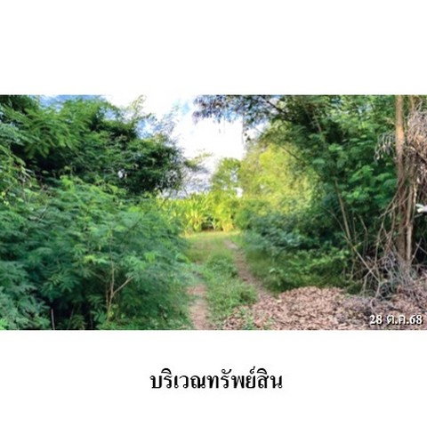 รูป ZHL0890 ขายที่ดินเปล่า ตำบล ท่าโพธิ์ อำเภอ เมืองพิษณุโลก จังหวัด พิษณุโลก - รูปที่ 4/8