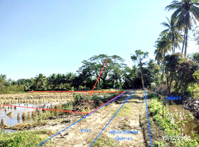 รูป ที่ดินว่างเปล่า 658.8 ตร.วา พาน เชียงราย 989,000 - รูปที่ 3/14
