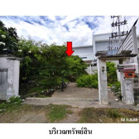 รูป ZHL0661 ขายบ้านเดี่ยว ตำบล นาดี อำเภอ เมืองสมุทรสาคร จังหวัด สมุทรสาคร - รูปที่ 2/8