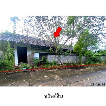 FOR SALE WAREHOUSE PROPERTY 2480000 BAHT.