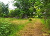 listing thumbnail image 18