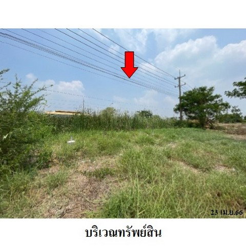 รูป Z2T2021 ขายที่ดินเปล่า ตำบล ลาดบัวหลวง อำเภอ ลาดบัวหลวง จังหวัด พระนครศรีอยุธยา - รูปที่ 5/8