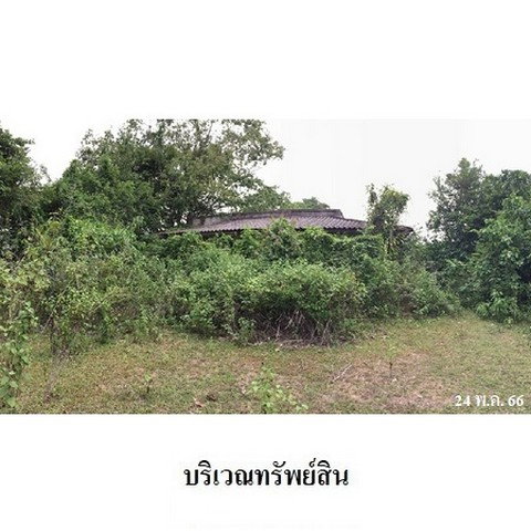 picture FOR SALE LAND PROPERTY 5416000 BAHT. - 2/8