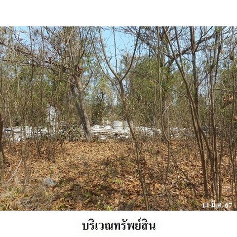 รูป ZLL0013 ขายที่ดินเปล่า ตำบล บ้านแป้ง อำเภอ พรหมบุรี จังหวัด สิงห์บุรี - รูปที่ 7/8