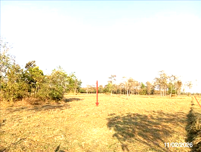ที่ดิน สุรินทร์ : ที่ดินว่างเปล่า 4204 ตร.วา ศรีณรงค์ สุรินทร์ 1.3M