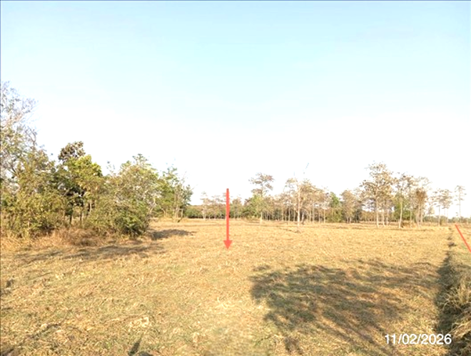 รูป ที่ดินว่างเปล่า 4204 ตร.วา ศรีณรงค์ สุรินทร์ 1.3M - รูปที่ 1/16