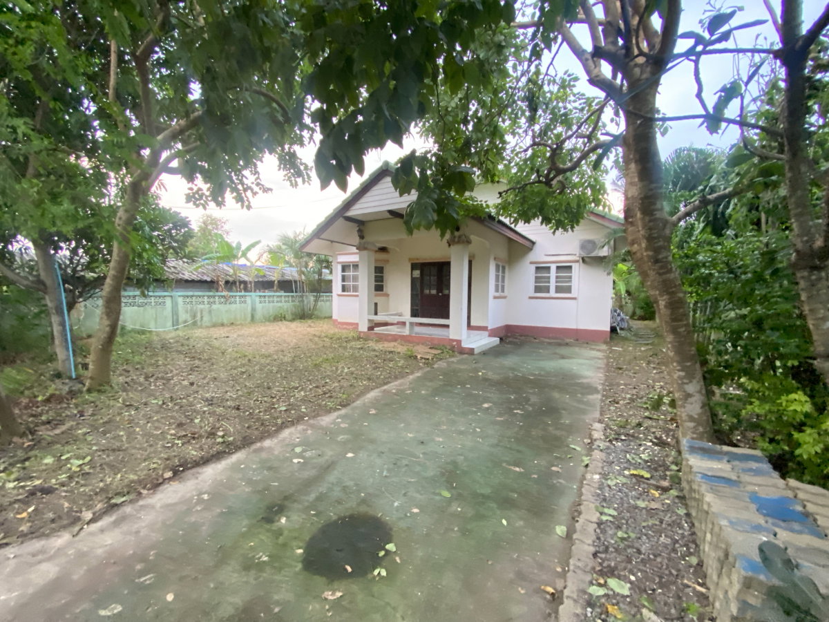 รูป ขายบ้านเดี่ยวชั้นเดียว บ้านใหม่ 92 ตร.ว. พร้อมเฟอร์นิเจอร์ครบ เข้าอยู่ได้ทันที ซอย รร.บ้านใหม่ บางใหญ่ นนทบุรี - รูปที่ 2/14