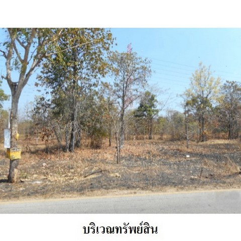 picture FOR SALE LAND PROPERTY 9761000 BAHT. - 4/8
