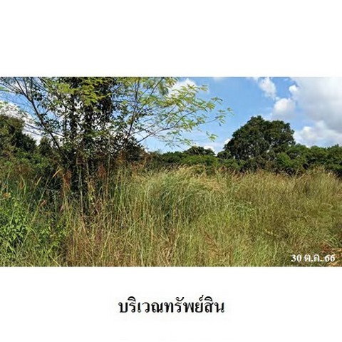 picture FOR SALE LAND PROPERTY 3273000 BAHT. - 5/8