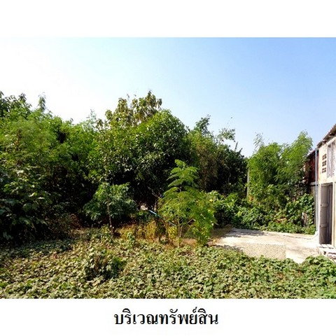 picture FOR SALE LAND PROPERTY 1616000 BAHT. - 7/8