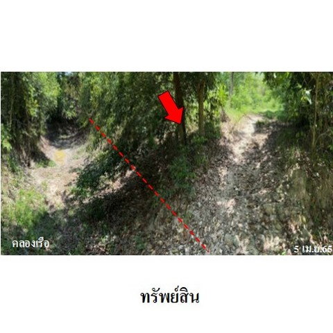 picture FOR SALE  LAND PROPERTY  187909000 BAHT. - 6/8