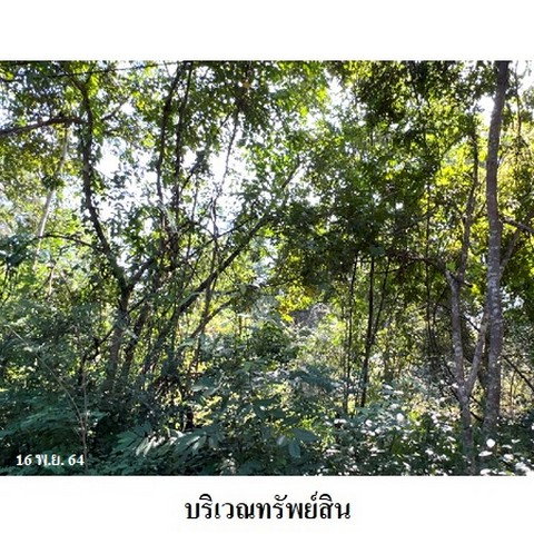 รูป Z8Z3194 ขายที่ดินเปล่า โครงการ ล้านนาคันทรีปาร์ค ตำบล ศาลา อำเภอ เกาะคา จังหวัด ลำปาง - รูปที่ 8/8