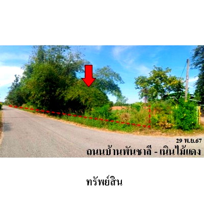 ที่ดิน วังทอง พิษณุโลก : ZLL0073 ขายที่ดินเปล่า ตำบล พันชาลี อำเภอ วังทอง จังหวัด พิษณุโลก