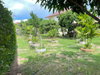 listing thumbnail image 41