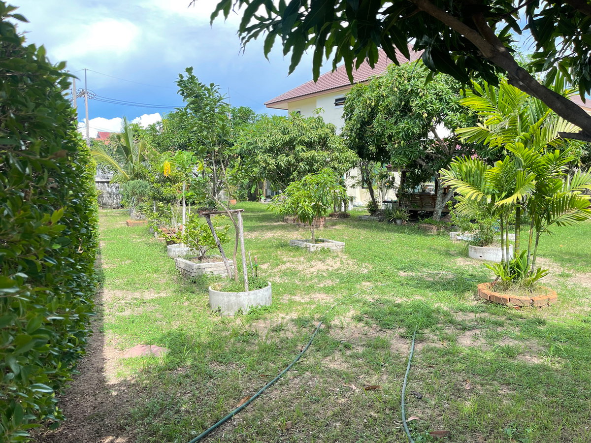 รูป ขายบ้านวิวไม้โครงการ 2 บ้านเดี่ยวพร้อมสวน 227.00 ตร.ว.  ใจกลางศรีราชา เชื่อมต่อถนนสุขุมวิท และมอเตอร์เวย์สาย 7 - รูปที่ 42/42