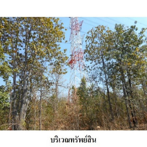 picture FOR SALE LAND PROPERTY 9761000 BAHT. - 7/8