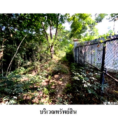 Land for sale Muang Lampang Lamphang : FOR SALE  LAND PROPERTY  1068000 BAHT.