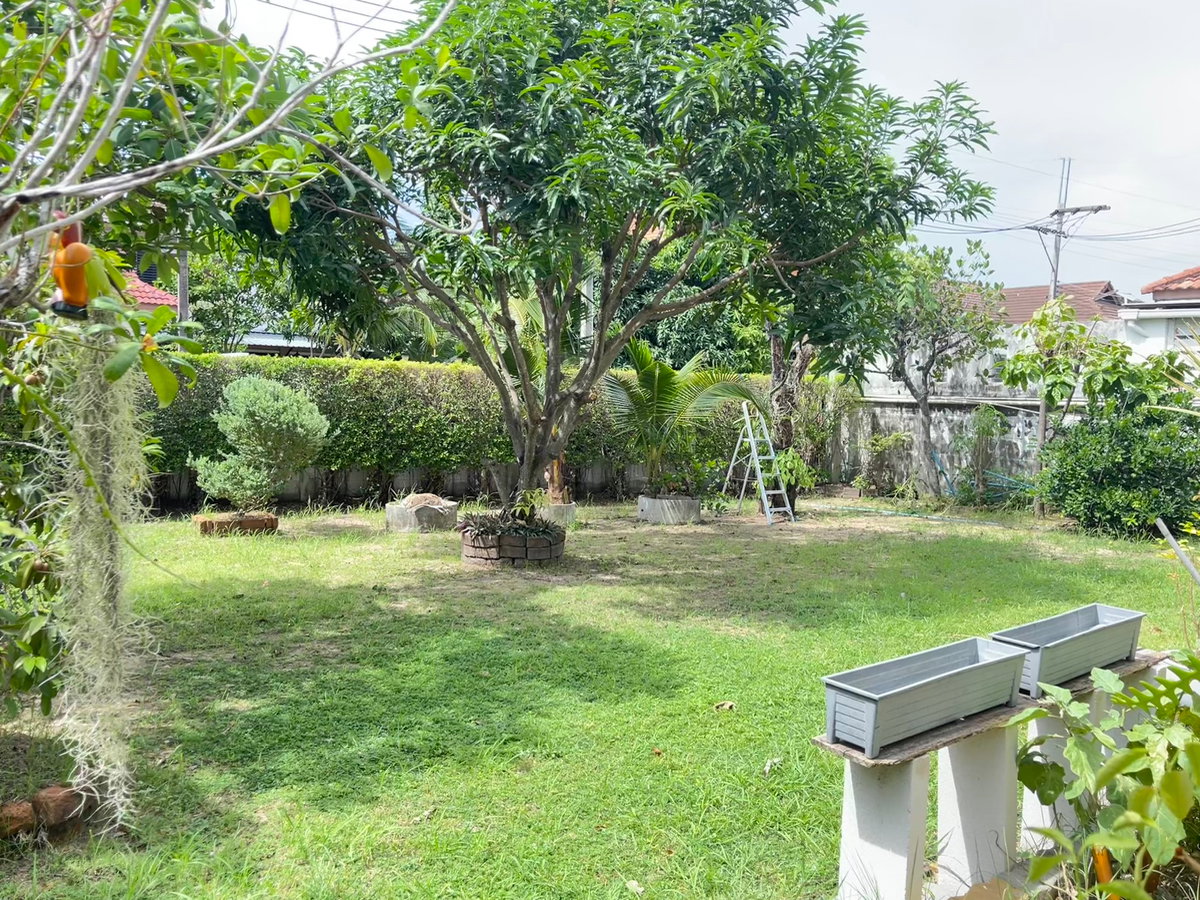 รูป ขายบ้านวิวไม้โครงการ 2 บ้านเดี่ยวพร้อมสวน 227.00 ตร.ว.  ใจกลางศรีราชา เชื่อมต่อถนนสุขุมวิท และมอเตอร์เวย์สาย 7 - รูปที่ 37/42