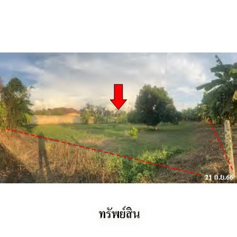 รูป ZLL0113 ขายที่ดินเปล่า ตำบล ท่าโพธิ์ อำเภอ เมืองพิษณุโลก จังหวัด พิษณุโลก - รูปที่ 5/8