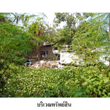 Z8Z4568 ขายที่ดินเปล่า ตำบล ท่าทราย อำเภอ เมืองสมุทรสาคร จังหวัด สมุทรสาคร