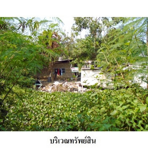 picture FOR SALE  LAND PROPERTY  12899000 BAHT. - 1/8