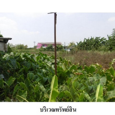 รูป Z2T0351 ขายที่ดินเปล่า ตำบล ชะแมบ อำเภอ วังน้อย จังหวัด พระนครศรีอยุธยา - รูปที่ 5/8