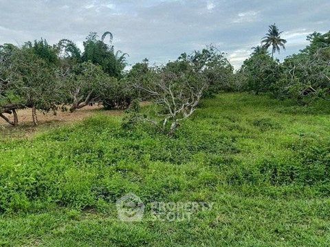 ที่ดินสำหรับขาย ในยางเนิ้ง สารภี เชียงใหม่ (ID 3046346)