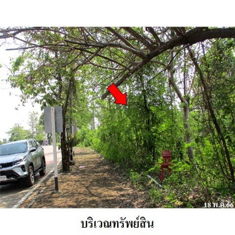 picture FOR SALE  LAND PROPERTY  4863000 BAHT. - 3/8