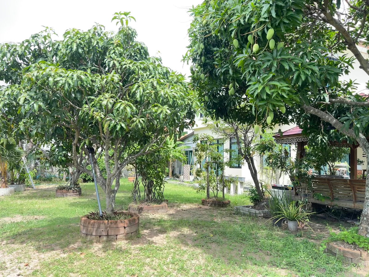 รูป ขายบ้านวิวไม้โครงการ 2 บ้านเดี่ยวพร้อมสวน 227.00 ตร.ว.  ใจกลางศรีราชา เชื่อมต่อถนนสุขุมวิท และมอเตอร์เวย์สาย 7 - รูปที่ 40/42