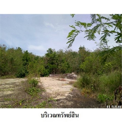 picture FOR SALE  LAND PROPERTY  11356000 BAHT. - 4/8