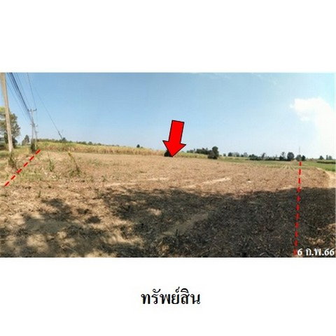 รูป Z3A2187 ขายที่ดินเปล่า ตำบล บึงกอก อำเภอ บางระกำ จังหวัด พิษณุโลก - รูปที่ 7/8
