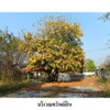 listing thumbnail image 4