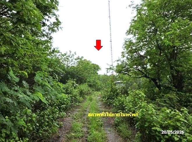 picture LAND 1672 Sq.w. Tha Li Loei for 4.2M - 5/24
