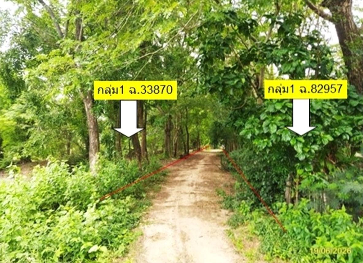 รูป ที่ดินว่างเปล่า 3278 ตร.วา ยางตลาด กาฬสินธุ์ 2.7M - รูปที่ 12/24
