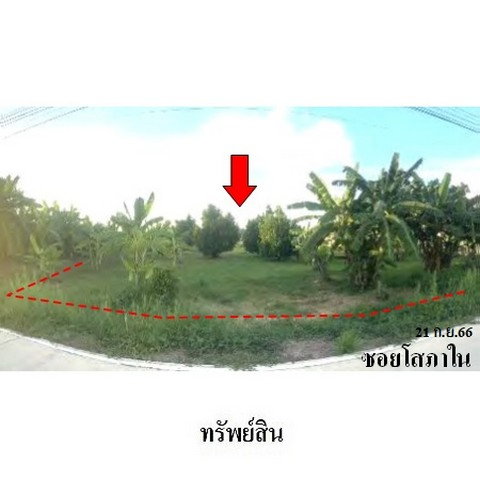 รูป ZLL0113 ขายที่ดินเปล่า ตำบล ท่าโพธิ์ อำเภอ เมืองพิษณุโลก จังหวัด พิษณุโลก - รูปที่ 3/8