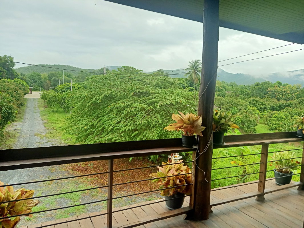 picture A house in a garden, surrounded by rice fields and mountain views, quiet and peaceful. - 33/54
