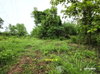 listing thumbnail image 17