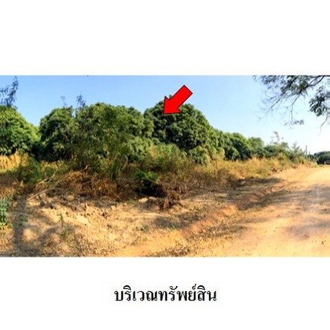 picture FOR SALE  LAND PROPERTY  7034000 BAHT. - 2/8