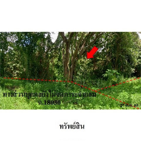 picture FOR SALE  LAND PROPERTY  1076000 BAHT. - 8/8