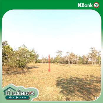รูป ที่ดินว่างเปล่า 4204 ตร.วา ศรีณรงค์ สุรินทร์ 1.3M - รูปที่ 14/16