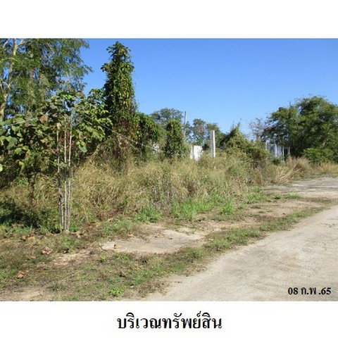 รูป Z2T0012 ขายที่ดินเปล่า ตำบล ขี้เหล็ก อำเภอ แม่แตง จังหวัด เชียงใหม่ - รูปที่ 8/8
