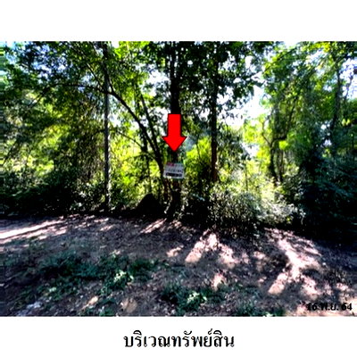 ที่ดิน เกาะคา ลำปาง : Z8Z3194 ขายที่ดินเปล่า โครงการ ล้านนาคันทรีปาร์ค ตำบล ศาลา อำเภอ เกาะคา จังหวัด ลำปาง