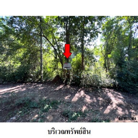 รูป Z8Z3194 ขายที่ดินเปล่า โครงการ ล้านนาคันทรีปาร์ค ตำบล ศาลา อำเภอ เกาะคา จังหวัด ลำปาง - รูปที่ 1/8