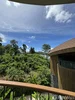 listing thumbnail image 63