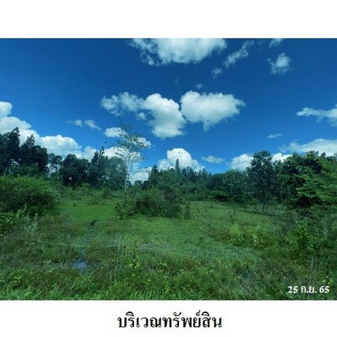 รูป Z3A1906 ขายที่ดินเปล่า ตำบล ห้างฉัตร อำเภอ ห้างฉัตร จังหวัด ลำปาง - รูปที่ 5/8