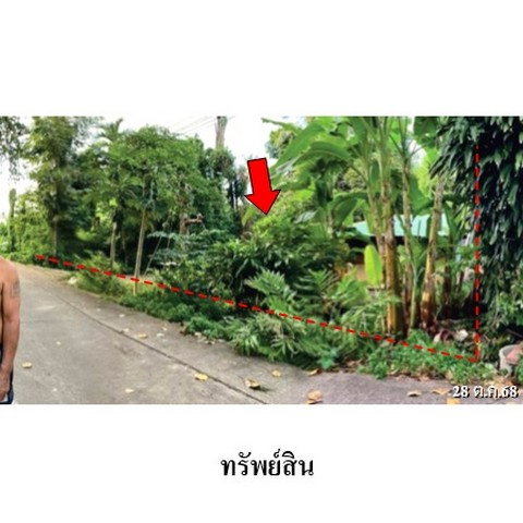 รูป ZHL0890 ขายที่ดินเปล่า ตำบล ท่าโพธิ์ อำเภอ เมืองพิษณุโลก จังหวัด พิษณุโลก - รูปที่ 2/8