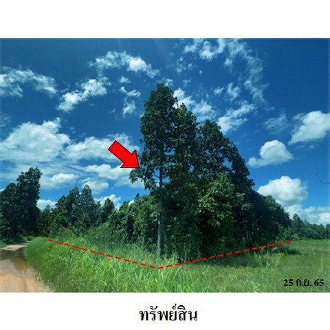 รูป Z3A1906 ขายที่ดินเปล่า ตำบล ห้างฉัตร อำเภอ ห้างฉัตร จังหวัด ลำปาง - รูปที่ 8/8